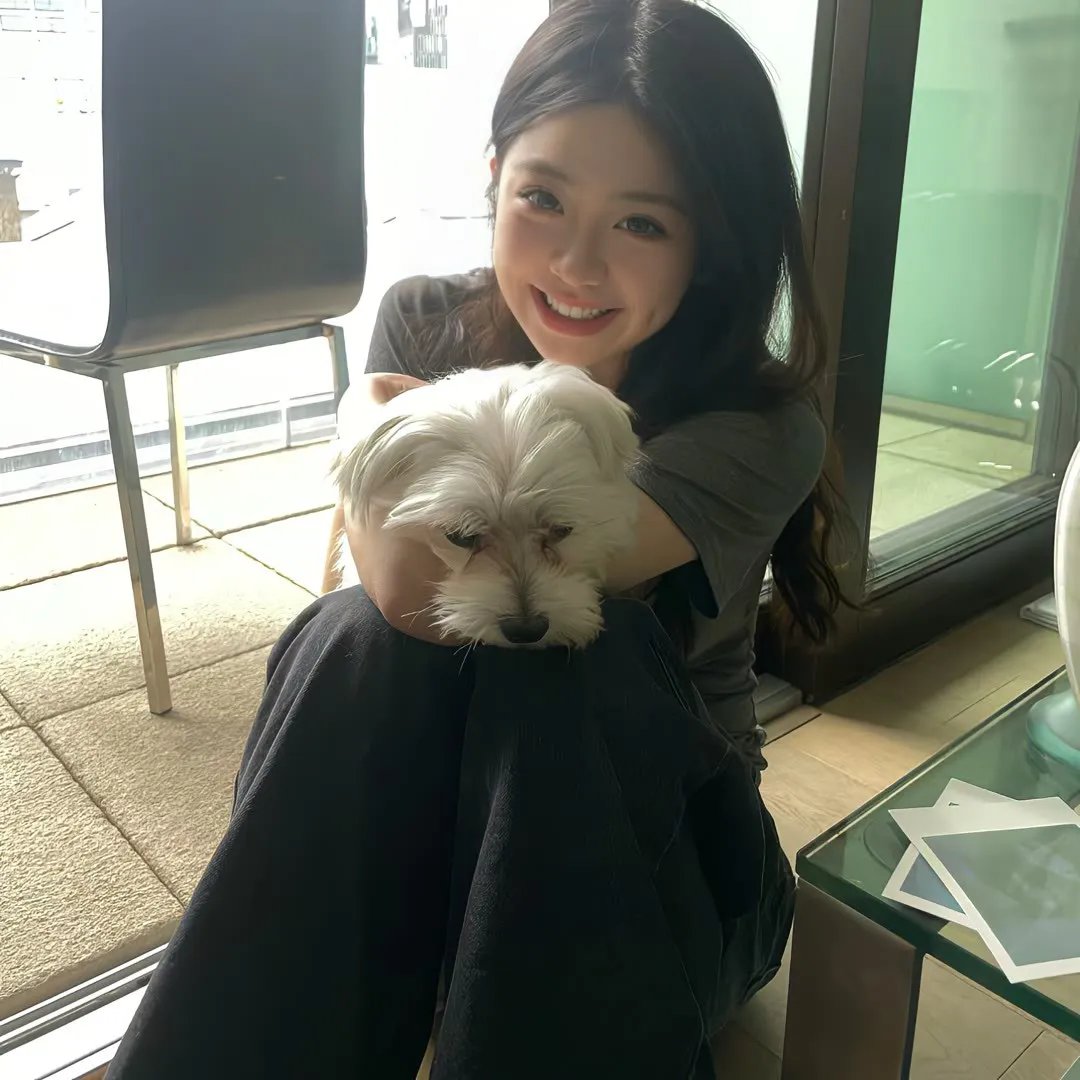 红猪